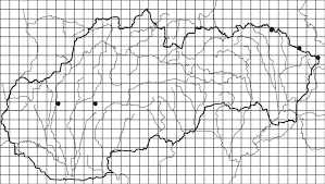 Attēlu rezultāti vaicājumam “Ascotremella faginea”