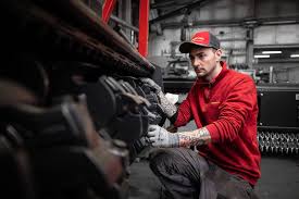 Image result for seppi tehron