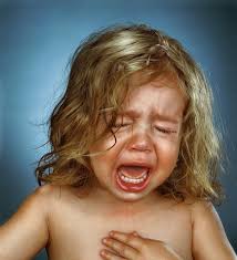 Image result for jill greenberg