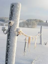 Eiszeit - Bild \u0026amp; Foto von Ralf Tautenhahn aus Winter - Fotografie ...