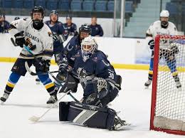 Image result for Romford Raiders