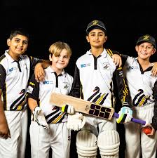 Image result for Swanage Cricket Club