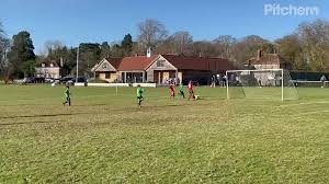 Image result for Chiddingfold Youth Fc