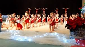 Image result for Kestrel Gymnastic Group