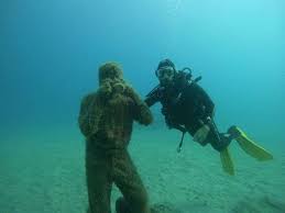 Image result for Canary Divers
