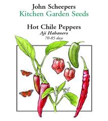 Afbeeldingsresultaat voor aji habanero hot pepper