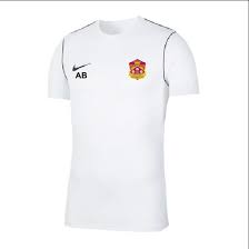 Image result for Chorley Cricket Club