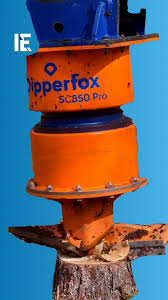 Image result for dipperfox tehron