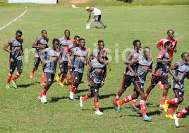 Image result for Vipers Rugby Football Club