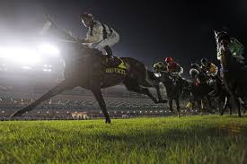 Image result for The Horse Racing Club