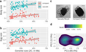 Image result for genome sizes
