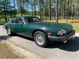 Image result for Racing Green 1981 Jaguar