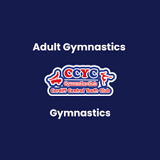 Image result for Cardiff Olympic Gymnastics Club