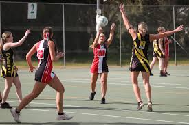 Image result for Wombles Netball Club