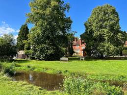 Image result for Runnymede Rascals Cricket Club