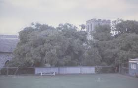 Image result for Southsea Common Bowling Greens