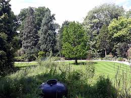 Image result for Arboretum Trompenburg