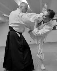 Image result for Fudokai Aikido Dojo