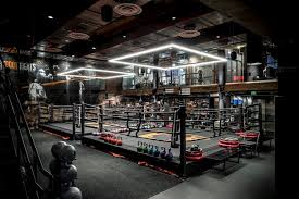 Image result for York University Boxing Club