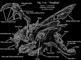 Image result for zergling