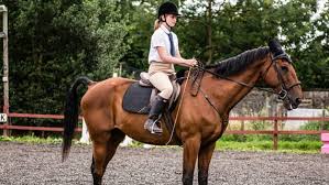 Image result for Fife Riding Club