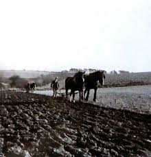 Image result for Universal Martial Arts (Chelmarsh with Neil Morris)