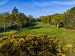 Image result for The Millbrook Golf Club , Bedfordshire
