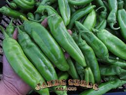 Afbeeldingsresultaat voor numex chimayo hot pepper