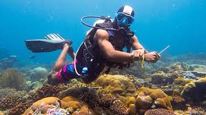 Image result for Divemaster Scuba