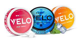 Image result for Louth Velo