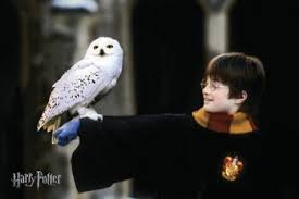 Kuvahaun tulos haulle hedvig