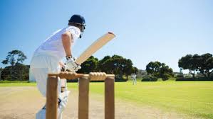 Image result for Arthington Cricket Club