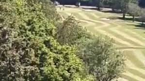 Image result for Mountain Ash Golf Club