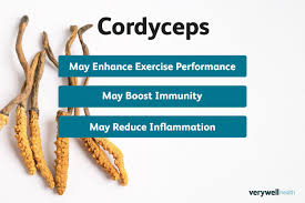 Attēlu rezultāti vaicājumam “Cordyceps”