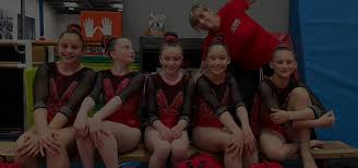 Image result for Redcar School Of Gymnastics