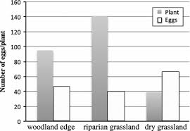 Attēlu rezultāti vaicājumam “Euphydrias aurinia underside”