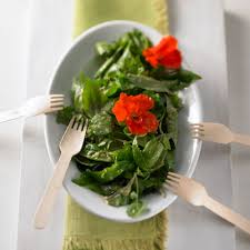 Image result for Brunnenkresse