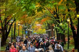 Image result for Wharton Cons Bowling Club