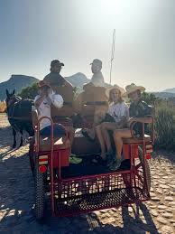 Image result for North Lammermuir Riding Club