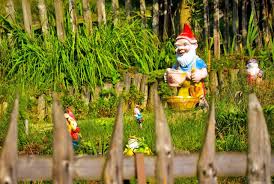 Image result for Gartenzwerg