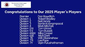 Image result for Minehead Cricket Club
