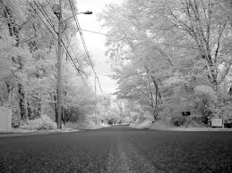 Image result for epl1 20mm night site:flickr.com