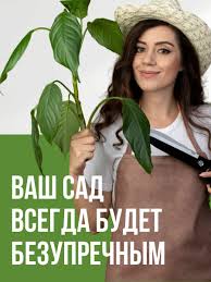 Image result for Конфетти d-23 Кашпо 2109020759412