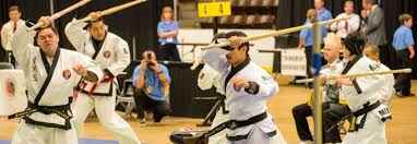 Image result for Combined self defence arts