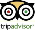 Enjoying Your Trip Despite Fake TRIPADVISOR Reviews by Froodee