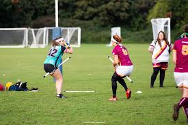 Image result for Wessex Warlocks Quadball