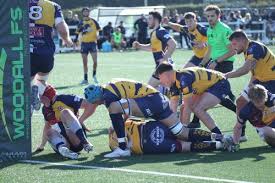 Image result for Oxford Harlequins R F C
