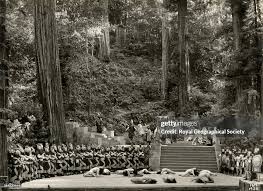 Image result for bohemian club