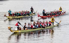 Image result for Amathus Dragon Boat Club