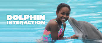 Image result for Adventure Dolphin